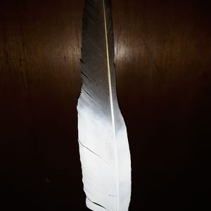 Meet your Posher, Ted